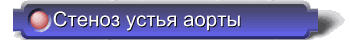 5t-13.gif (4169 bytes)