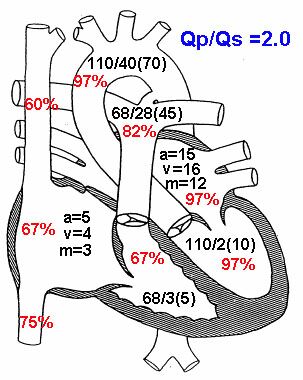 pda.jpg (50122 bytes)