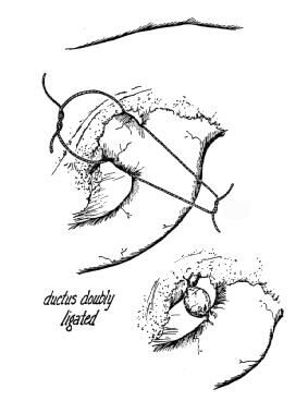 pda2_mx.jpg (15468 bytes)