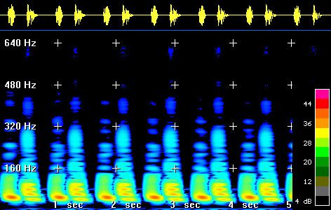 spectr.cor.jpg (76196 bytes)