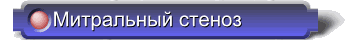 5t-11.gif (4171 bytes)