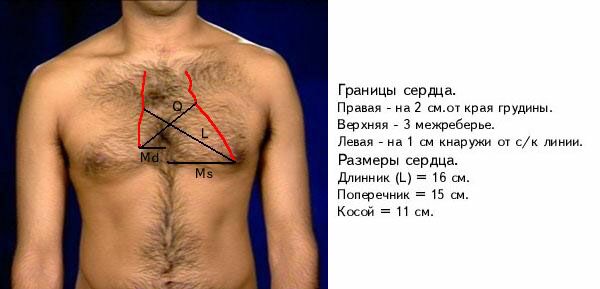gran-11.jpg (41362 bytes)